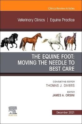 The Equine Foot: Moving the Needle to Best Care, An Issue of Veterinary Clinics of North America: Equine Practice - 