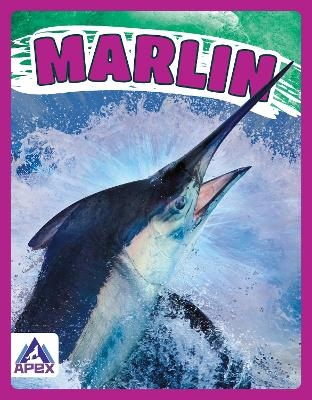 Marlin - Katie Chanez