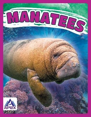 Manatees - Katie Chanez