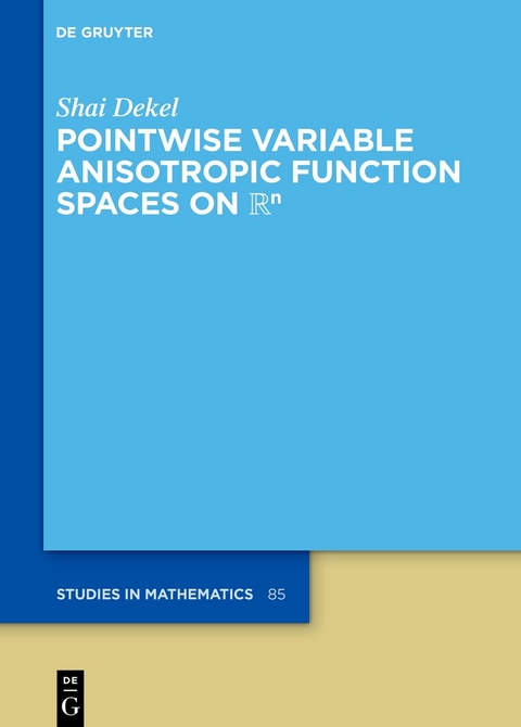 Pointwise Variable Anisotropic Function Spaces on ℝⁿ - Shai Dekel