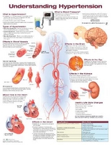 Understanding Hypertension Anatomical Chart - 