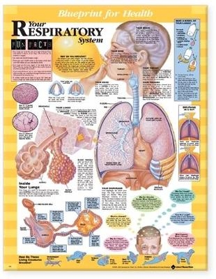 Blueprint for Health Your Respiratory System Chart