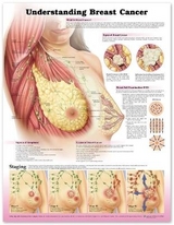 Understanding Breast Cancer 3E Paper - 