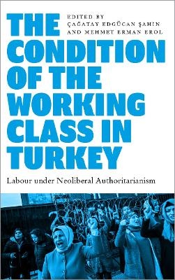 The Condition of the Working Class in Turkey - 