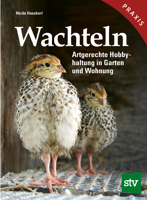 Wachteln - Heide Hasskerl