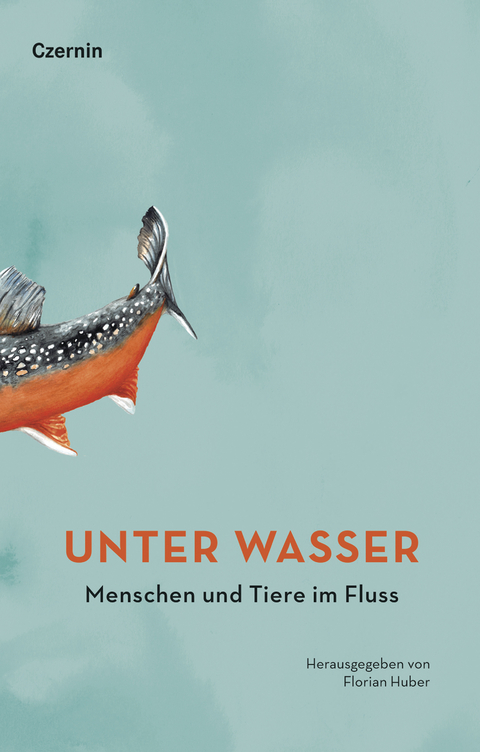 Unter Wasser - 