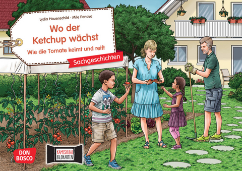 Wo der Ketchup wächst. Wie die Tomate keimt und reift. Kamishibai Bildkartenset - Lydia Hauenschild