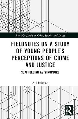 Fieldnotes on a Study of Young People’s Perceptions of Crime and Justice - Avi Brisman