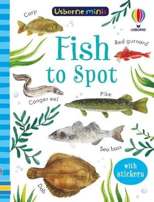 Fish to Spot - Kate Nolan