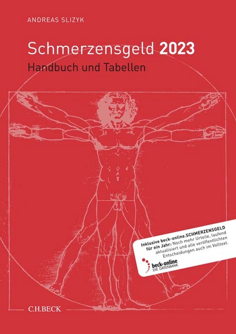 Schmerzensgeld 2023 - Andreas Slizyk