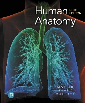 Human Anatomy - Elaine Marieb, Patricia Wilhelm, Jon Mallatt