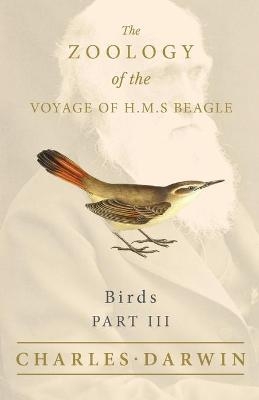 Birds - Part III - The Zoology of the Voyage of H.M.S Beagle; Under the Command of Captain Fitzroy - During the Years 1832 to 1836 - Charles Darwin, John Gould