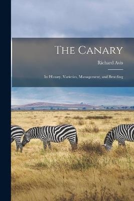 The Canary - Richard Avis