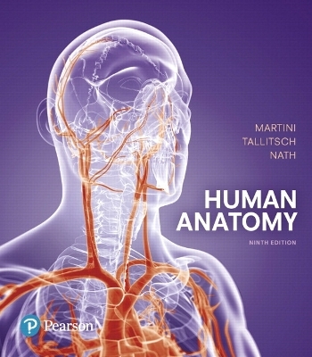 Human Anatomy - Frederic Martini, Robert Tallitsch, Judi Nath