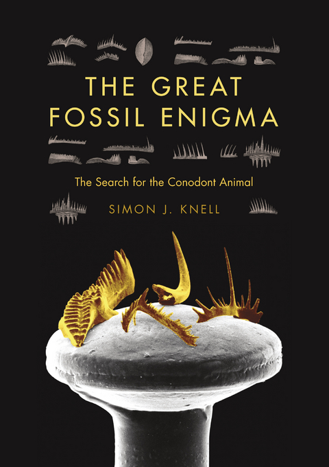 Great Fossil Enigma -  Simon J. Knell