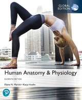 Human Anatomy & Physiology, Global Edition + Mastering A&P with Pearson eText - Marieb, Elaine; Hoehn, Katja