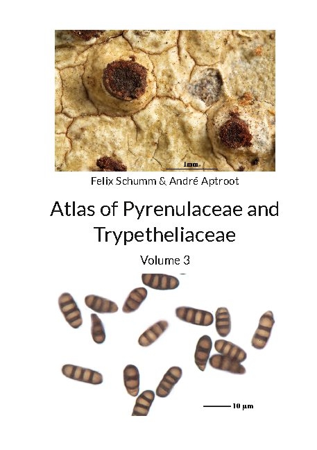 Atlas of Pyrenulaceae and Trypetheliaceae Vol 3 - Felix Schumm, André Aptroot