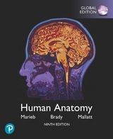 Human Anatomy, Global Edition - Marieb, Elaine; Brady, Patricia; Mallatt, Jon