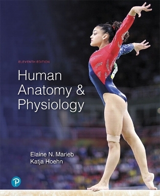 Human Anatomy & Physiology - Elaine Marieb, Katja Hoehn