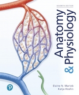 Anatomy & Physiology - Marieb, Elaine; Hoehn, Katja