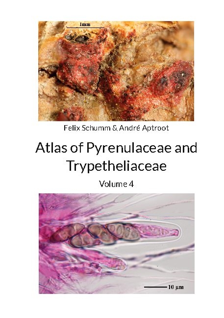 Atlas of Pyrenulaceae and Trypetheliaceae Vol 4 - Felix Schumm, André Aptroot