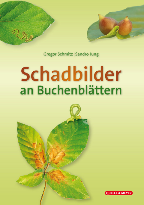 Schadbilder an Buchenblättern - Gregor Schmitz, Sando Jung