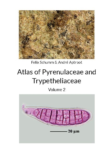 Atlas of Pyrenulaceae and Trypetheliaceae Volume 2 - Felix Schumm, André Aptroot