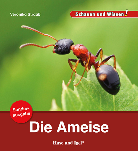 Die Ameise / Sonderausgabe - Veronika Straaß