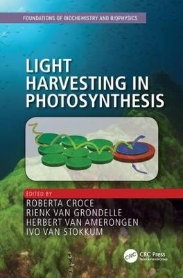 Light Harvesting in Photosynthesis - 