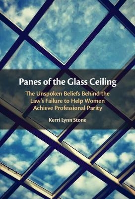 Panes of the Glass Ceiling - Kerri Lynn Stone