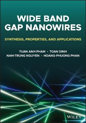 Wide Bandgap Nanowires - Tuan Anh Pham, Toan Dinh, Nam-Trung Nguyen, Hoang-Phuong Phan