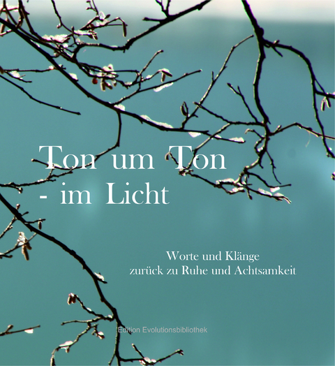 Ton um Ton - im Licht - 