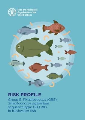 Risk profile -  Food and Agriculture Organization