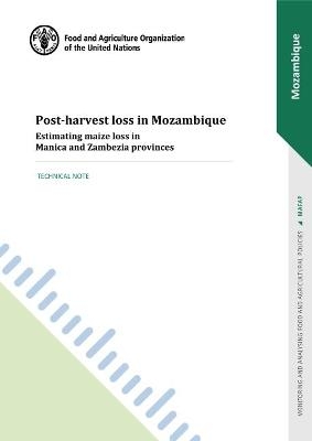 Post-harvest loss in Mozambique -  Food and Agriculture Organization, Luciana Delgado, David Laborde, Valeria Piäeiro