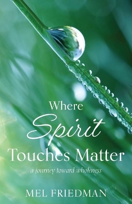 Where Spirit Touches Matter - Melvin R Friedman