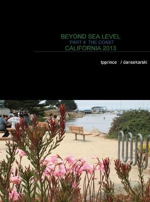 Beyond Sea Level Part 4 the Coast California 2013 - Dan Sekarski