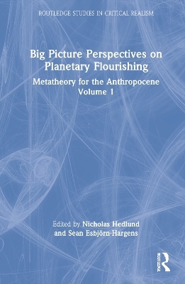 Big Picture Perspectives on Planetary Flourishing - 