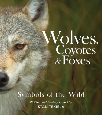 Wolves, Coyotes & Foxes - Stan Tekiela