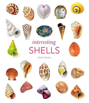 Interesting Shells - Andreia Salvador