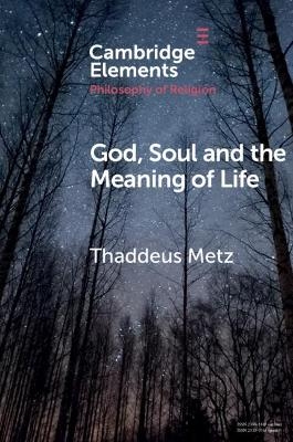 God, Soul and the Meaning of Life - Thaddeus Metz