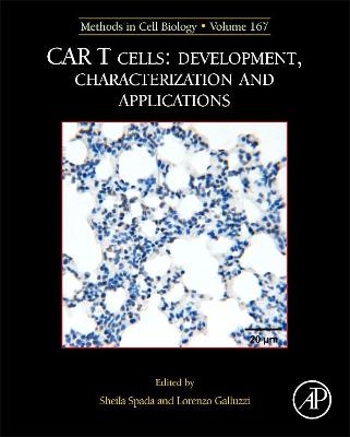 MCB: CAR T Cells: Development, Characterization and Applications - 