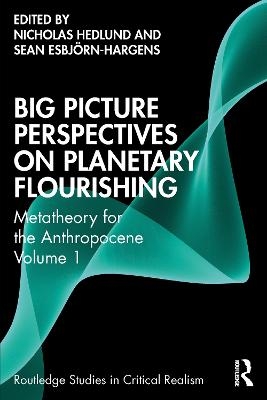 Big Picture Perspectives on Planetary Flourishing - 