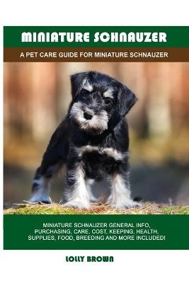 Miniature Schnauzer - Lolly Brown