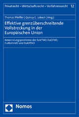 Effektive grenzüberschreitende Vollstreckung in der Europäischen Union - 