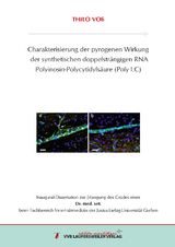 Charakterisierung der pyrogenen Wirkung der synthetischen doppelsträngigen RNA Polyinosin-Polycytidylsäure (Poly I:C) - Thilo Voß