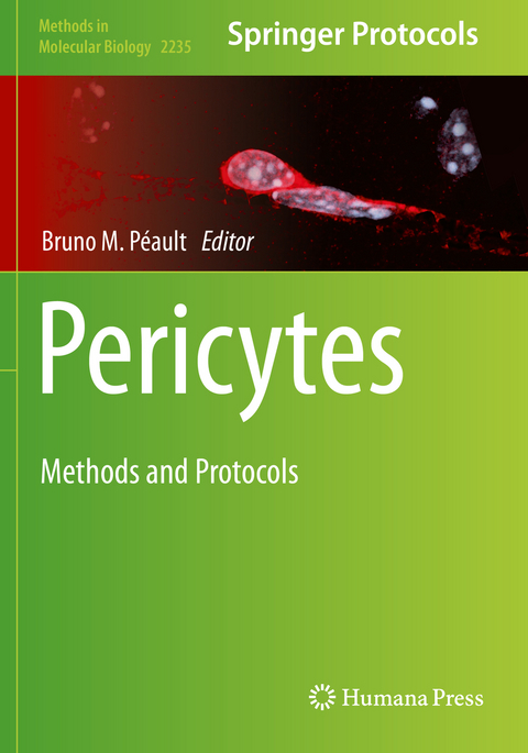 Pericytes - 