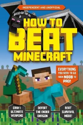 How to Beat Minecraft (Independent & Unofficial) - Kevin Pettman