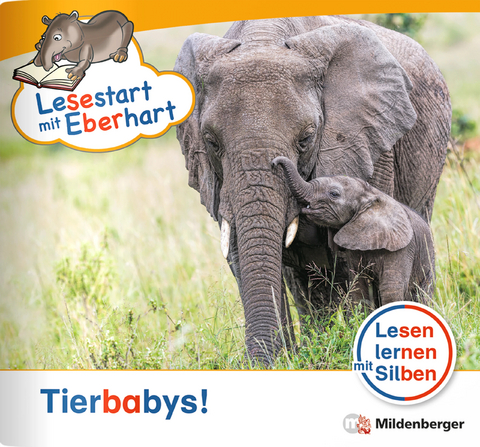 Lesestart mit Eberhart: Tierbabys! - Stefanie Drecktrah, Nicole Brandau