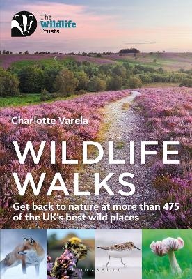 Wildlife Walks - Charlotte Varela