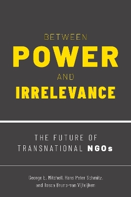 Between Power and Irrelevance - George E. Mitchell, Hans Peter Schmitz, Tosca Bruno-Van Vijfeijken